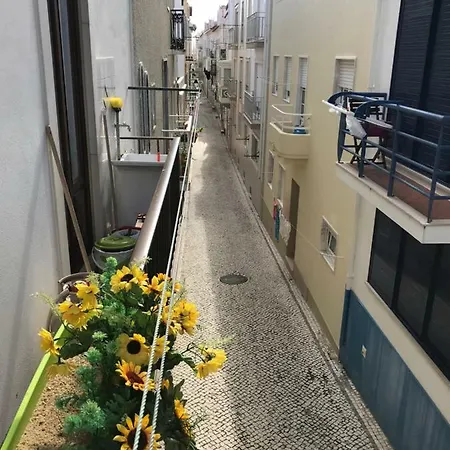 A Casa Dos Avos *