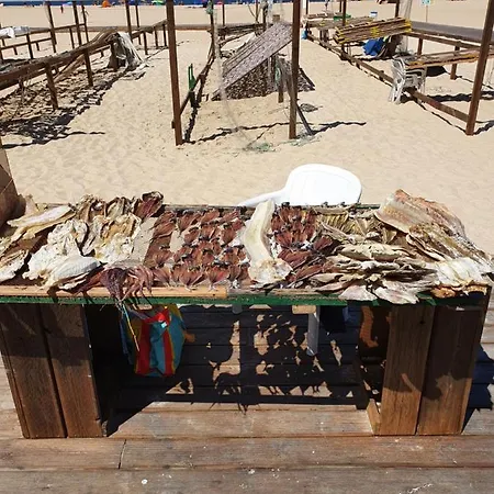 Hébergement de vacances A Casa Dos Avos